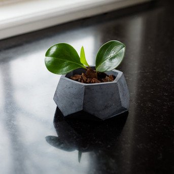 Vessel: Geometric Planter